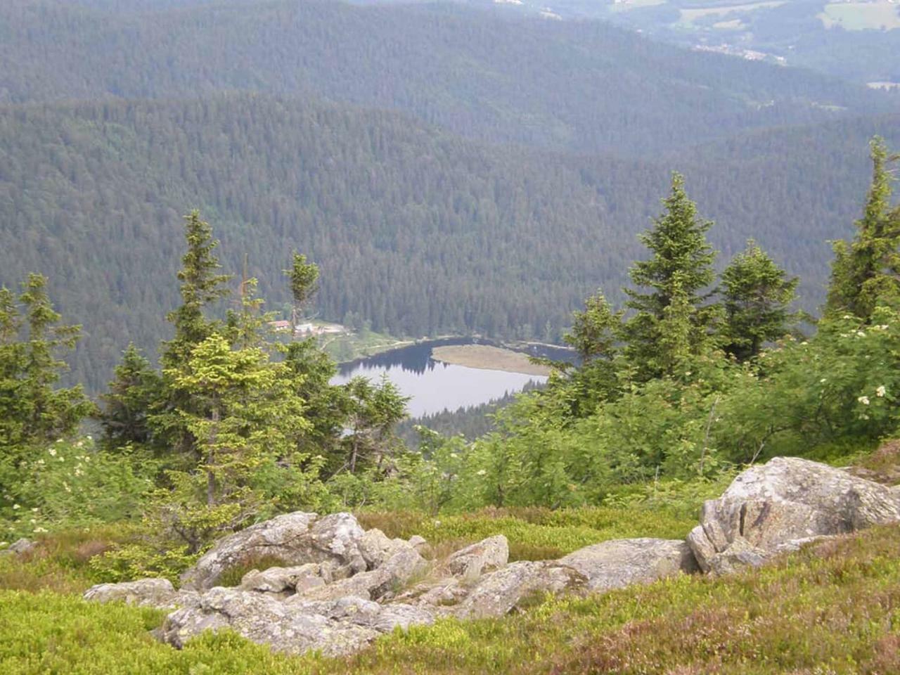 Gaestehaus Schmalzreich Lam Esterno foto