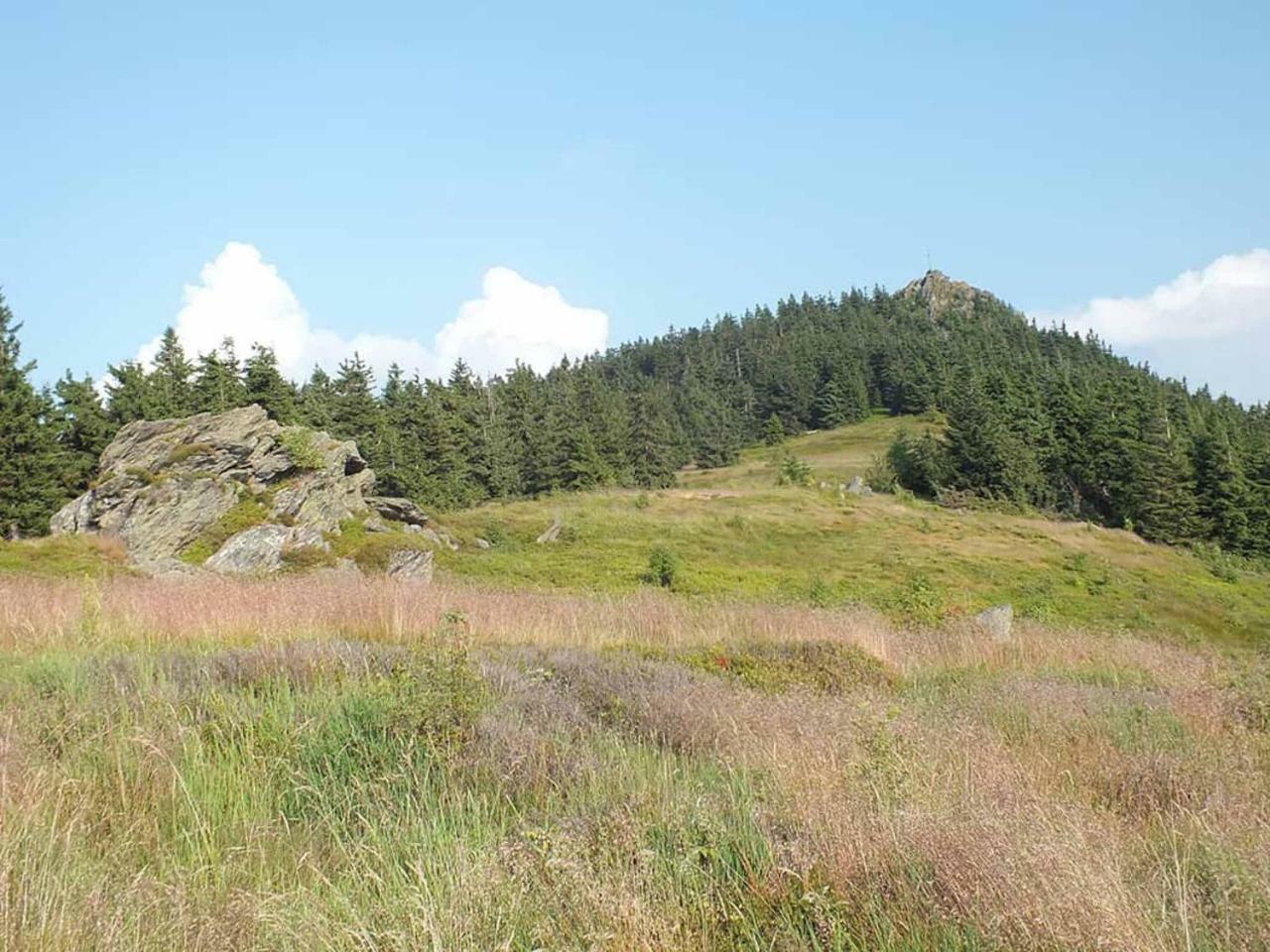 Gaestehaus Schmalzreich Lam Esterno foto